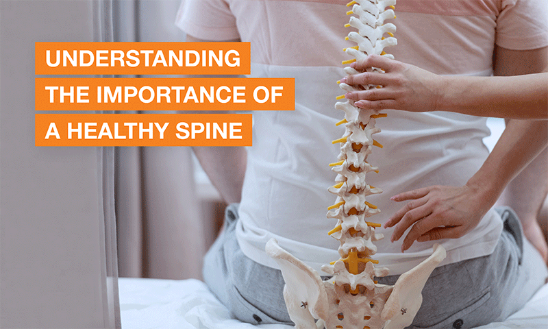 Blog Image - How does a healthy spine support a better quality of life?